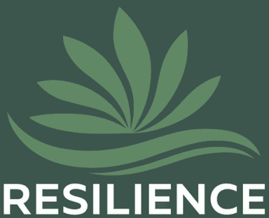 Resilience Counselling